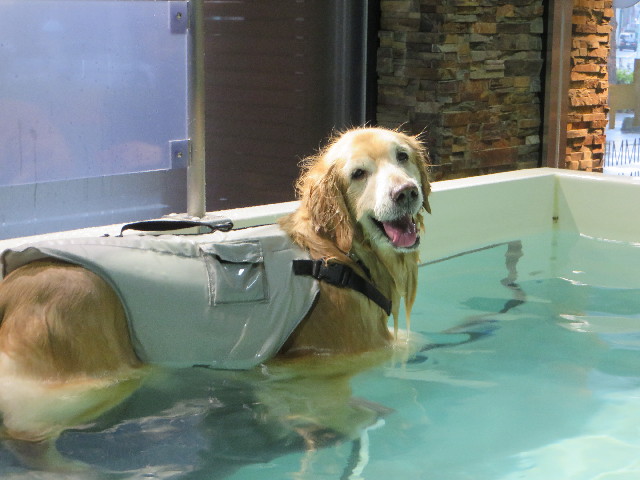 ファイル 4771-5.jpg