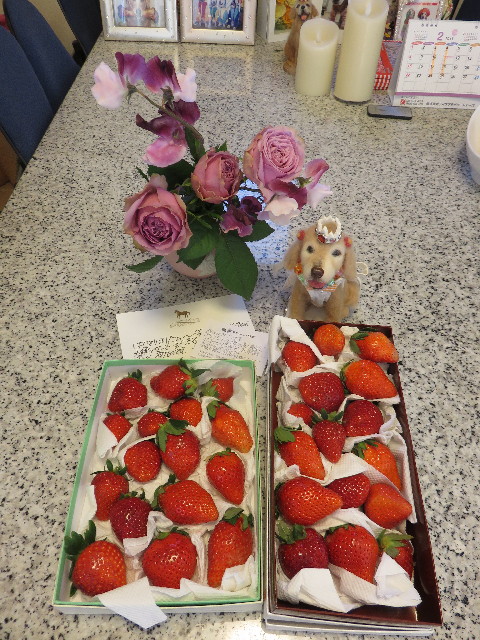 ファイル 4772-3.jpg