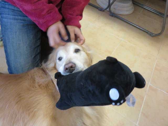 ファイル 4773-3.jpg