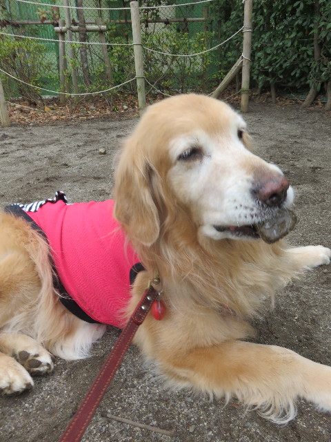 ファイル 4776-2.jpg