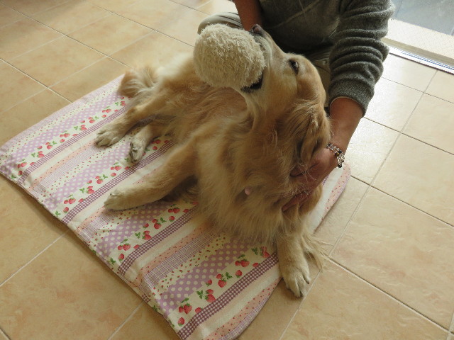 ファイル 4776-4.jpg