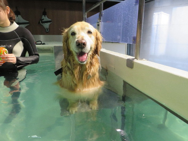 ファイル 4777-1.jpg