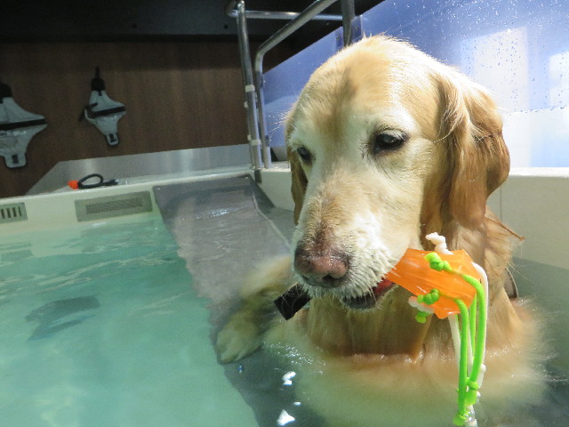 ファイル 4777-3.jpg