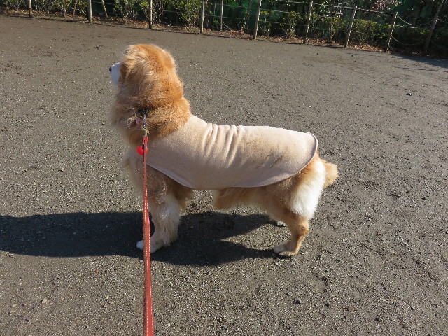 ファイル 4778-1.jpg