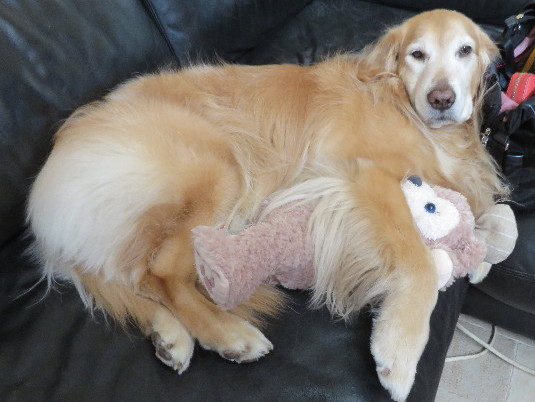 ファイル 4778-4.jpg