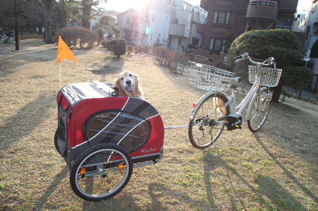 ファイル 4778-5.jpg