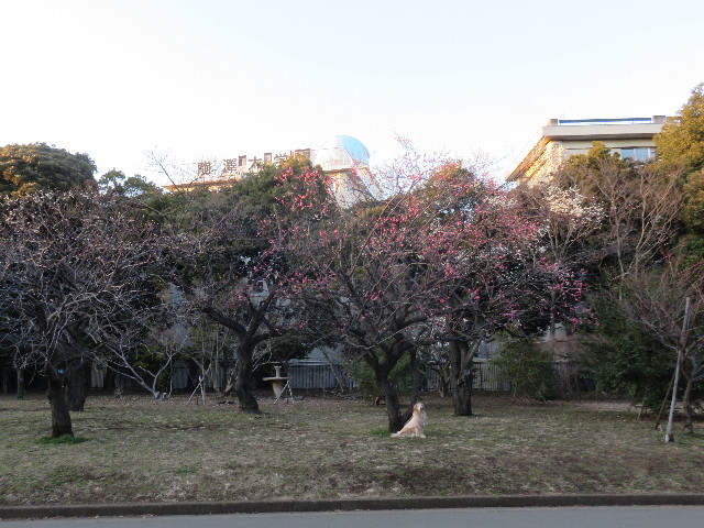 ファイル 4779-2.jpg