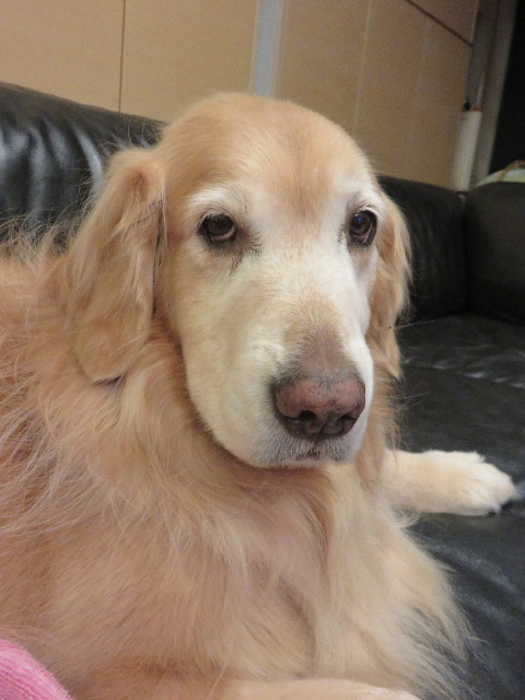 ファイル 4780-4.jpg