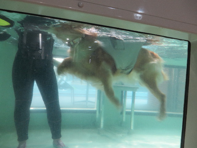 ファイル 4781-4.jpg