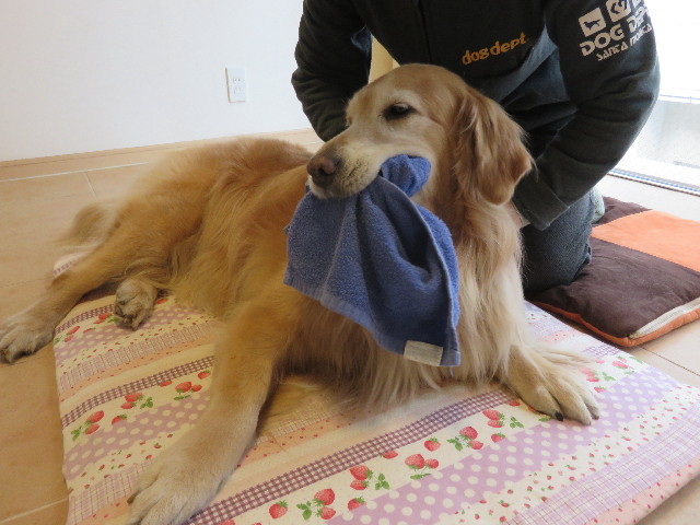 ファイル 4782-4.jpg