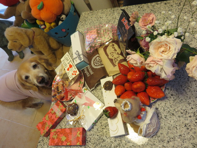 ファイル 4783-1.jpg