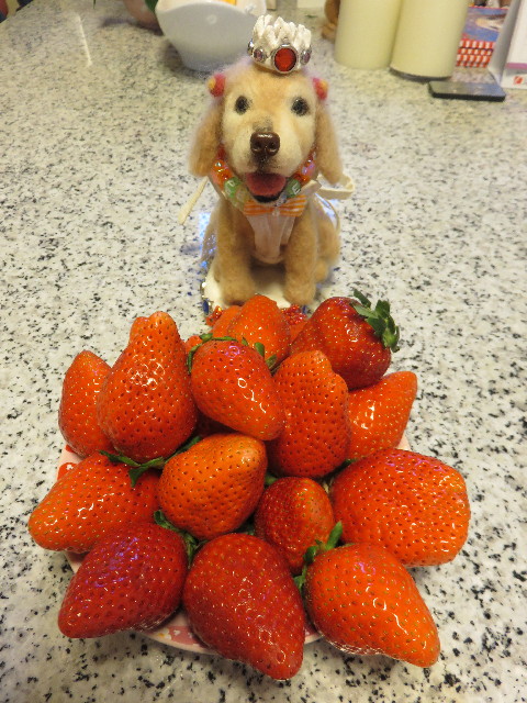 ファイル 4783-3.jpg