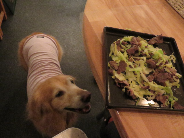 ファイル 4786-3.jpg