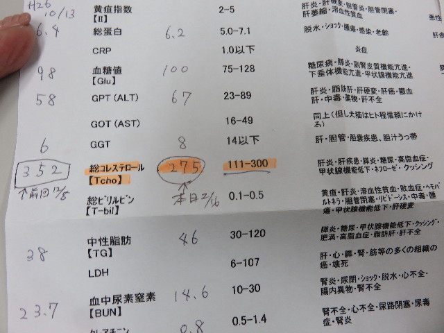 ファイル 4788-2.jpg