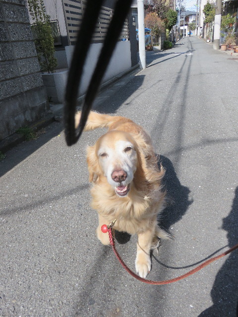 ファイル 4788-3.jpg