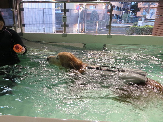 ファイル 4789-4.jpg