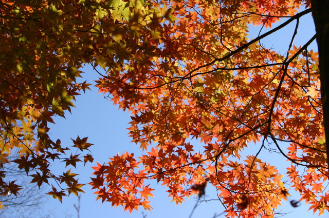 ファイル 479-5.jpg