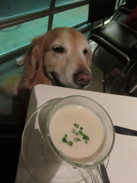 ファイル 4790-5.jpg