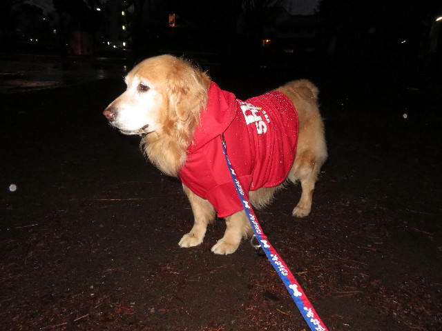 ファイル 4791-3.jpg