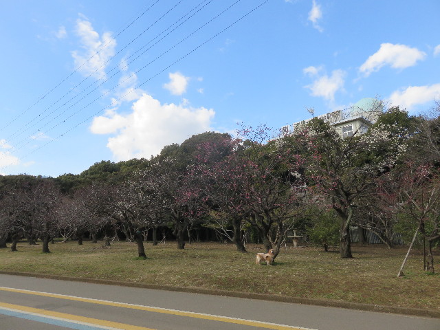 ファイル 4793-2.jpg