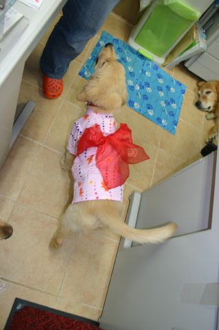 ファイル 48-1.jpg