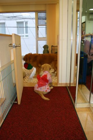 ファイル 48-2.jpg