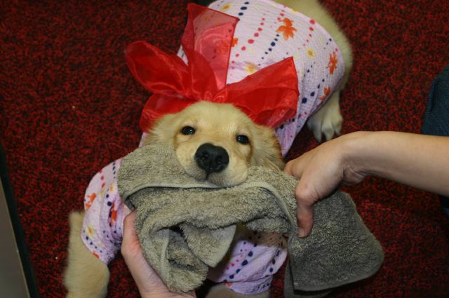 ファイル 48-3.jpg