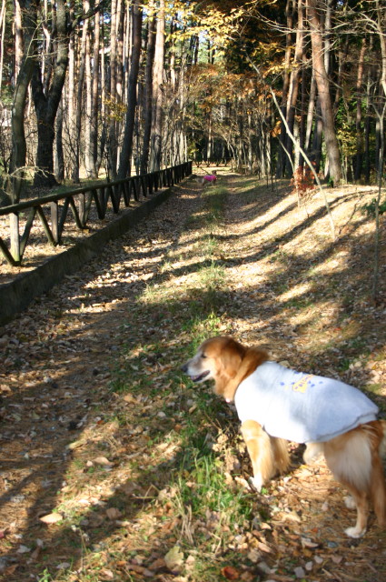 ファイル 480-4.jpg