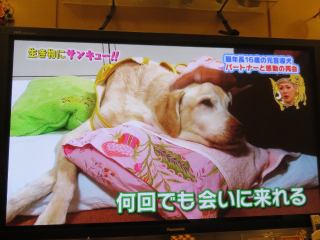 ファイル 4801-3.jpg