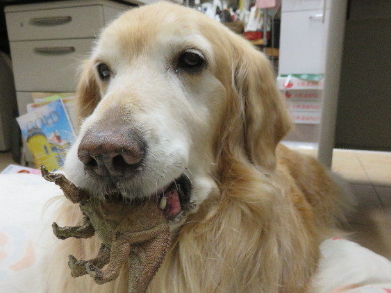 ファイル 4805-3.jpg