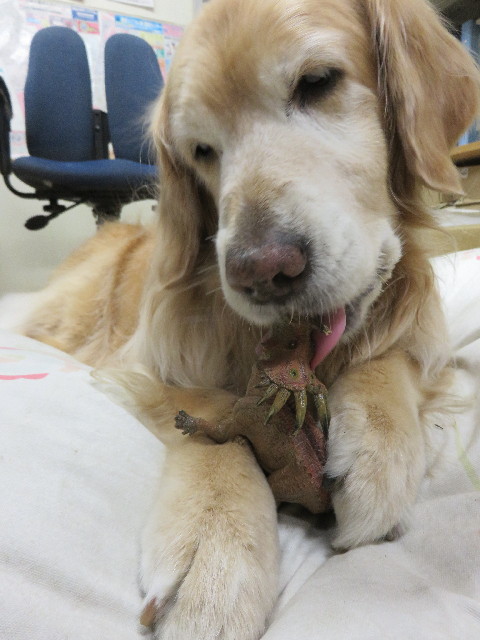 ファイル 4805-4.jpg