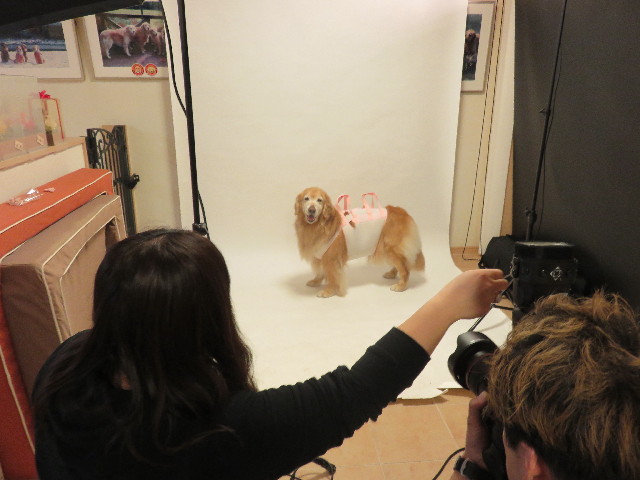 ファイル 4806-4.jpg