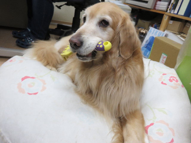 ファイル 4807-1.jpg