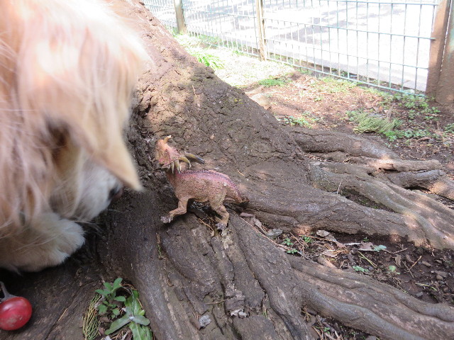 ファイル 4807-3.jpg