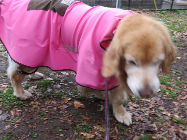 ファイル 4808-3.jpg