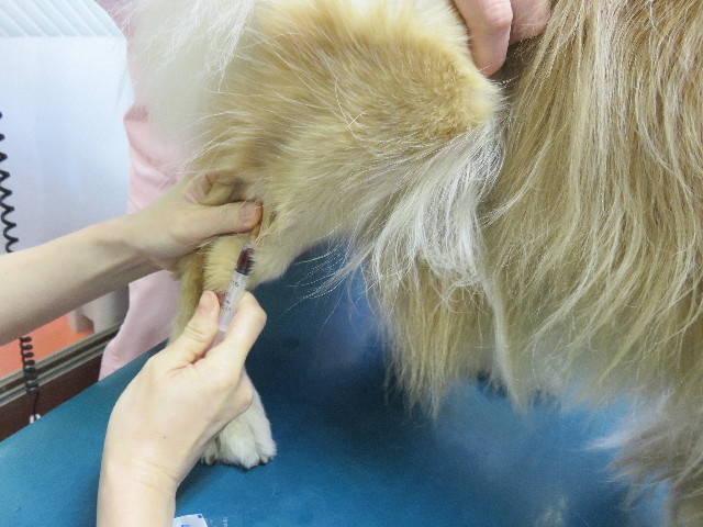 ファイル 4809-3.jpg