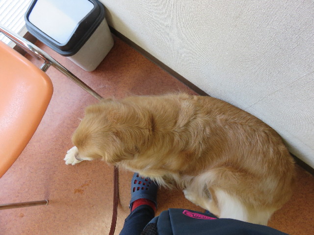 ファイル 4809-5.jpg