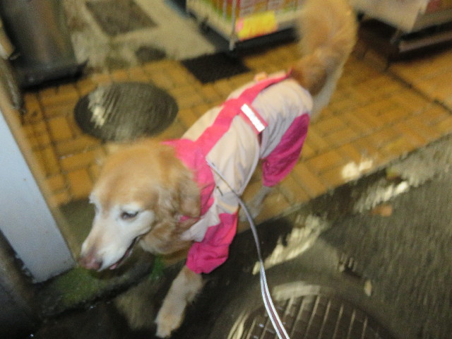 ファイル 4810-1.jpg