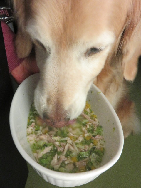 ファイル 4810-4.jpg