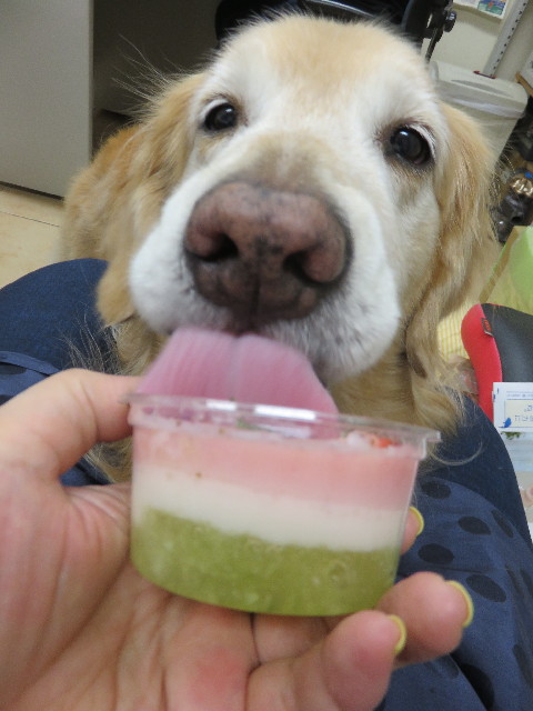 ファイル 4811-3.jpg