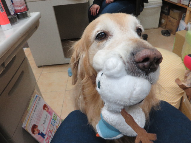 ファイル 4812-1.jpg