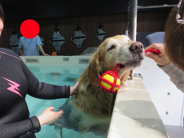 ファイル 4812-2.jpg