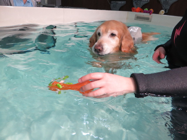 ファイル 4812-3.jpg