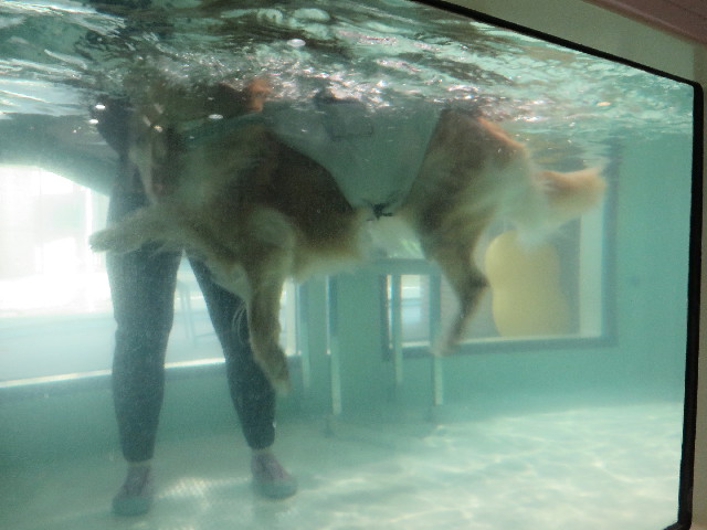 ファイル 4812-4.jpg