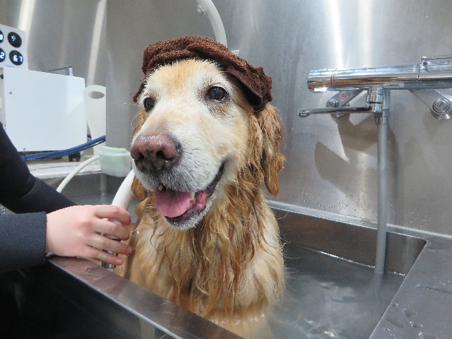 ファイル 4812-5.jpg