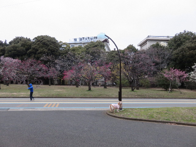 ファイル 4813-1.jpg