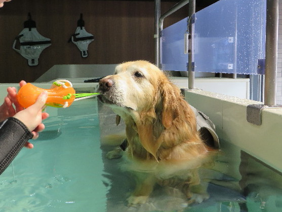 ファイル 4815-4.jpg