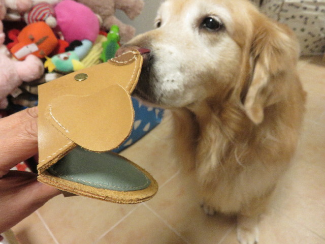 ファイル 4817-2.jpg