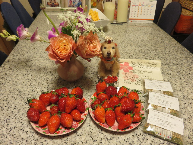 ファイル 4818-3.jpg