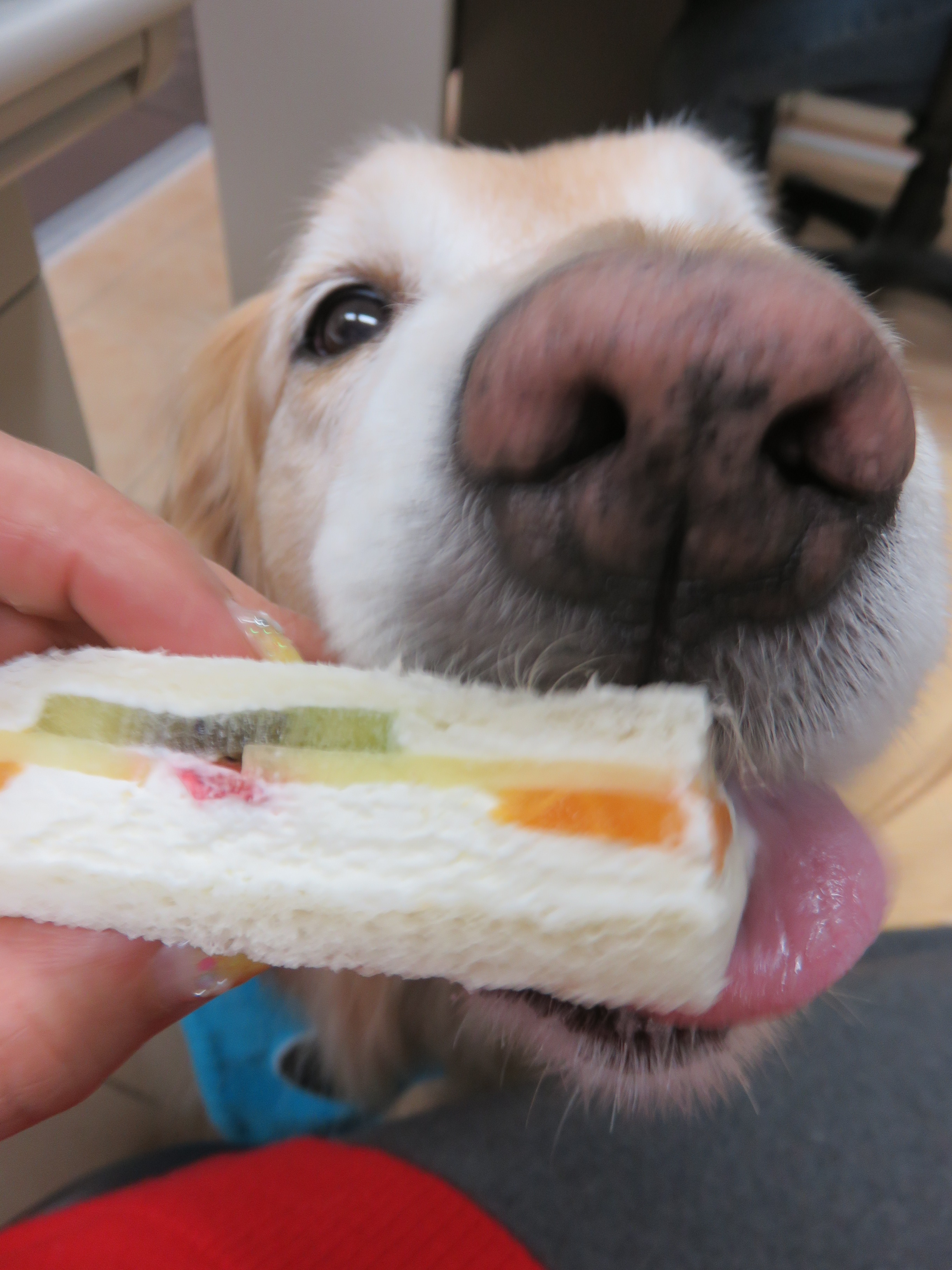 ファイル 4818-4.jpg